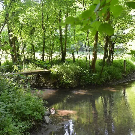 Family Retreat, Forested Anhee Vakantiehuis