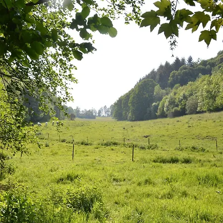 Vakantiehuis Family Retreat, Forested Anhee *