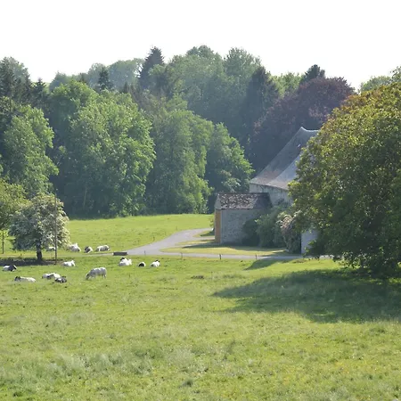 Family Retreat, Forested Anhee