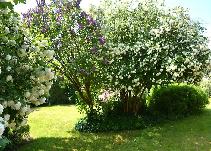 Family Retreat, Forested Anhee Hébergement de vacances Denee